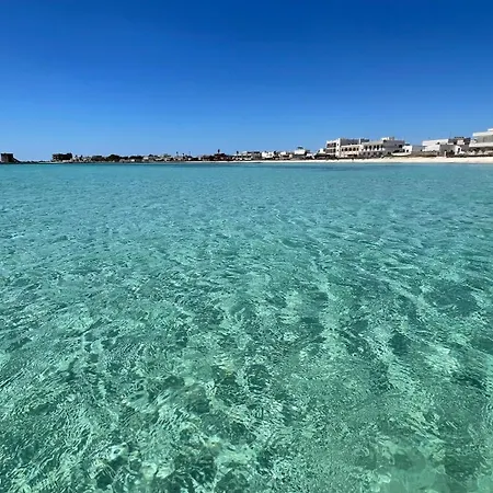 Salento *