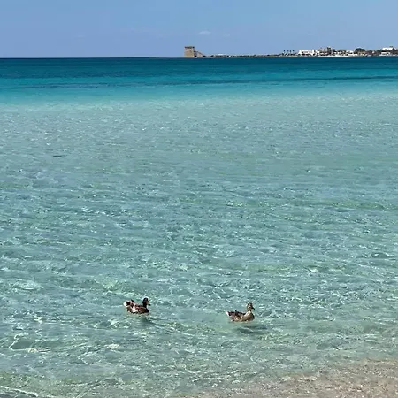 Appartamento Salento