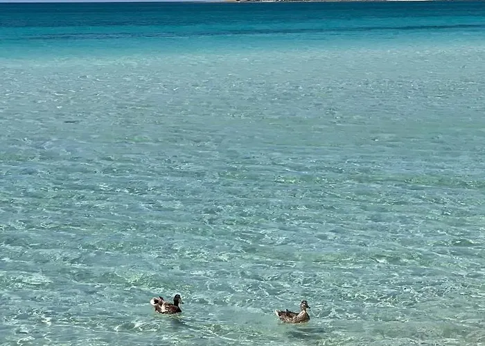 Appartamento Salento